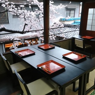 [Cherry blossom season only] Night cherry blossom time & cherry blossom viewing lunch