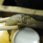 駒形どぜう - どじょうは下味付き、結構煮ているので骨が軟らかいです