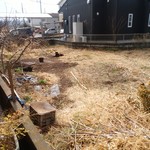 北珍 - お店の犬と猫