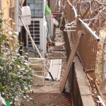 北珍 - お店の犬と猫