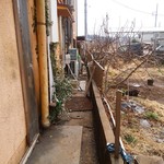 北珍 - お店の犬と猫