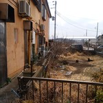 北珍 - お店の犬と猫