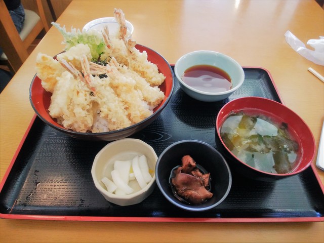 高級食材モサエビたっぷりの天丼 By だるま3世 市場食堂 鳥取大学前 和食 その他 食べログ 高級食材モサエビたっぷりの天丼 By だるま3世 市場食堂 鳥取大学前 和食 その他 食べログ
