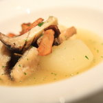 エルルカン・ビス - 