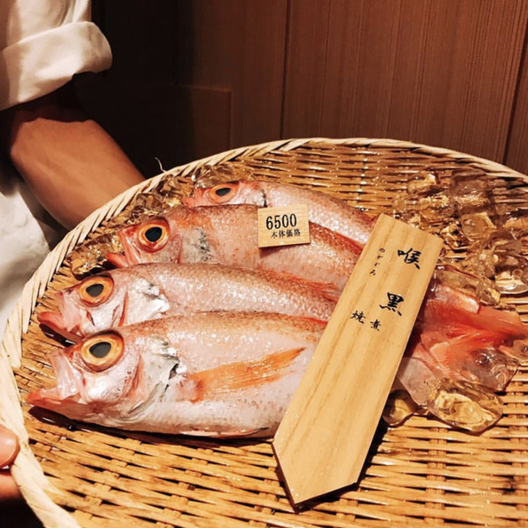 閉店 のど黒屋 銀座 数寄屋橋店 日比谷 魚介料理 海鮮料理 食べログ