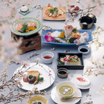 アサヒマチシキアン