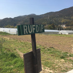 RUFDiP - 