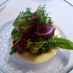 Restaurant Satoshi.F - キレイなお野菜