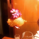 ステラ - 美しすぎる…