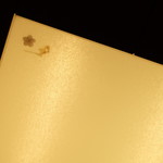 青山　仁 - 照明に桜