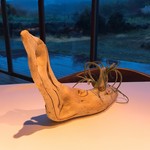 レストラン ビオス - テーブルディスプレー