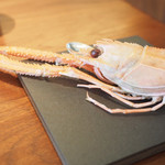 Fujiya 1935 - 蒸したアカザ海老のかしら