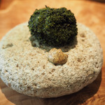 Fujiya 1935 - バフンウニ あおさ海苔 からし