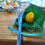 長崎炉ばた はち舎 - 