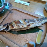 長崎炉ばた はち舎 - 