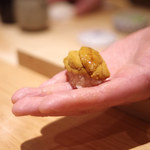 鮨 さかい - 海胆