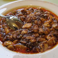赤坂 四川飯店 - 陳麻婆豆腐（辛いけど耐えられる辛さ）
