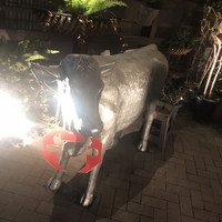 焼肉Garden MISAWA - 