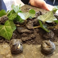 クイントカント - 