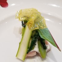 クイントカント - 