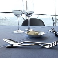 International cuisine subzero - 