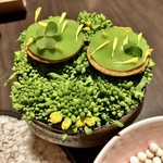 sincere - アミューズ5品盛り：尻丸海老の米粉のパフ揚げ、ポワロー葱とカマンベールチーズのスティック、菜の花とシラスのタブレ、フォアグラのムースとメレンゲ 柚子のジャム、サクラマスのクレープ包み その卵をナスタチウムに載せて