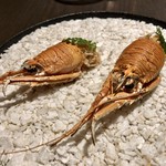 sincere - アミューズ5品盛り：尻丸海老の米粉のパフ揚げ、ポワロー葱とカマンベールチーズのスティック、菜の花とシラスのタブレ、フォアグラのムースとメレンゲ 柚子のジャム、サクラマスのクレープ包み その卵をナスタチウムに載せて