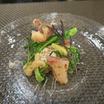 スゥリル - 噴火湾「鮟鱇」