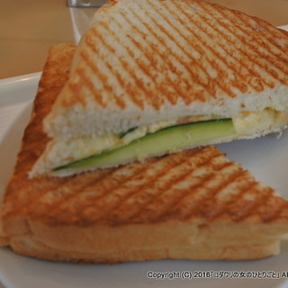 ドナテロウズ_1