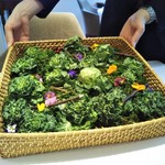 AMOUR - 収穫　芽キャベツ