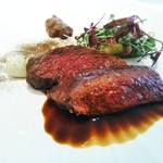 AMOUR - 里山　蝦夷鹿・葉玉葱・肝