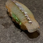 寿し おおはた - 