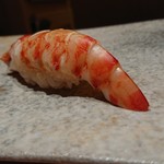 鮨 つぼみ - 車海老