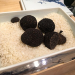 照寿司 - 生米の上に黒トリュフがゴロゴロ