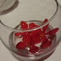 南園 - ※食べ物ではありません