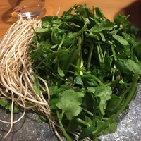 浅草じゅうろく - 秋田の芹