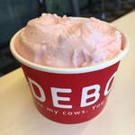 IDEBOK - 苺ジェラート食べかけ♪