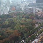 CIVIC スカイレストラン 椿山荘 - 眺望