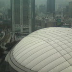 CIVIC スカイレストラン 椿山荘 - 眺望