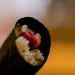 鮨 あらい - 鮪巻