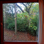 箱根ハイランドホテル ラウンジ - 秋の色を愉しみながら〜♬