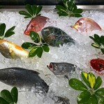 中央市場生猛海鮮 - 