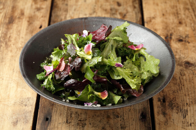 ウィンターリーフとパースニップのクルミサラダ レシピ