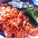 遊登里庵 - さくら（冷）