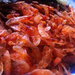 遊登里庵 - さくら（冷）