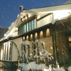 中野屋 湯沢本店 中野屋 湯沢本店