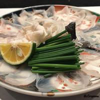 花邑 - 天然とら河豚 てっさ