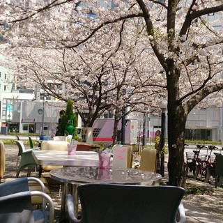 桜が目の前に♪お花見が楽しめます！