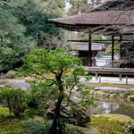 山元麺蔵 - 南禅寺