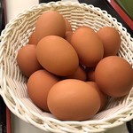 九十九里ファーム たまご屋さんコッコ - 2019.03